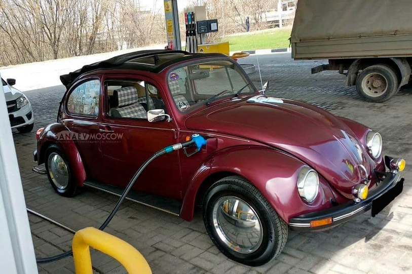 Volkswagen Beetle (burgundy)