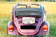 Volkswagen Beetle (burgundy)