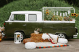 Volkswagen T2 (pickup)