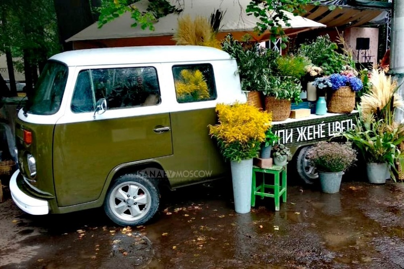 Volkswagen T2 (pickup)