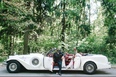 Excalibur Phantom