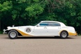 Excalibur Phantom (gold)