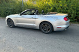 Ford Mustang (grey)