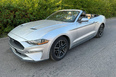 Ford Mustang (grey)