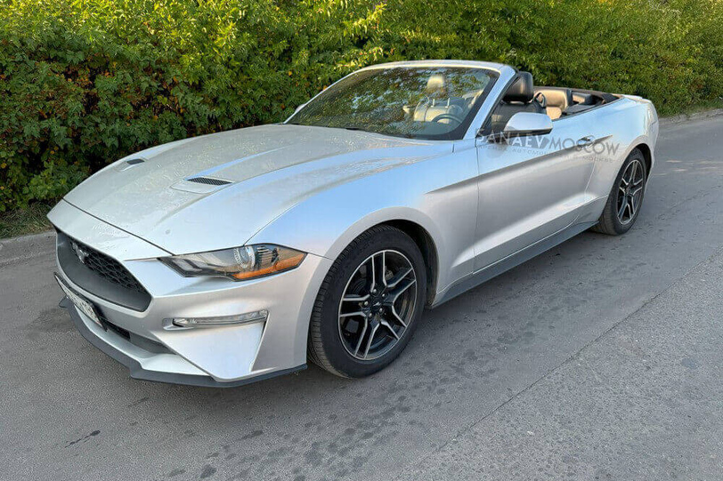 Ford Mustang (grey)