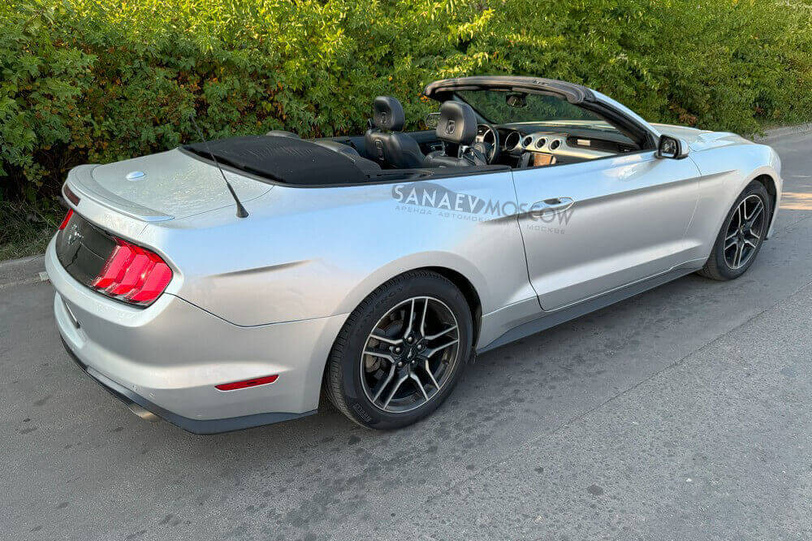 Ford Mustang (grey)