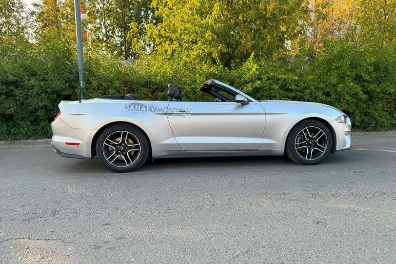 Ford Mustang (grey)