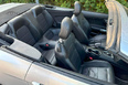 Ford Mustang (grey)