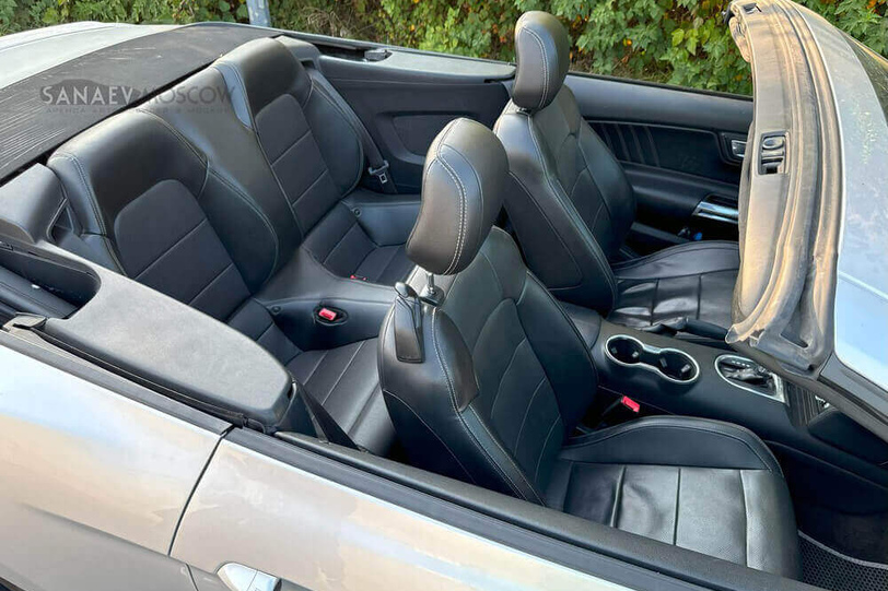 Ford Mustang (grey)