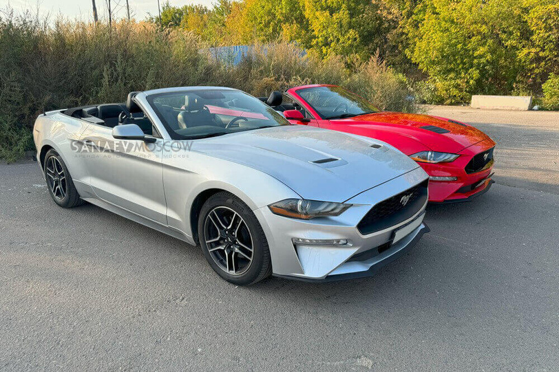 Ford Mustang (grey)