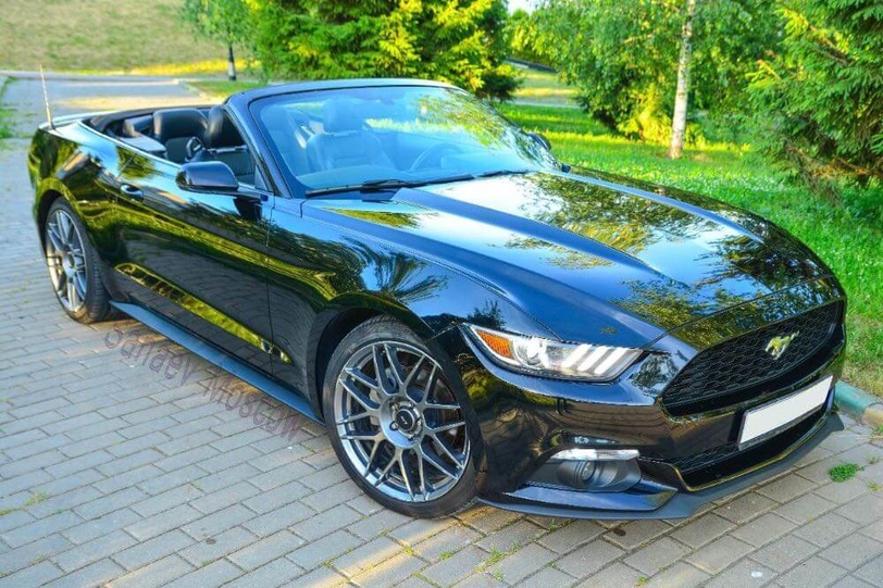 Ford Mustang (black)