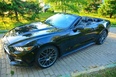 Ford Mustang (black)