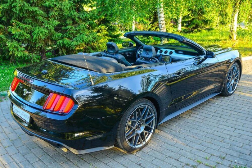 Ford Mustang (black)