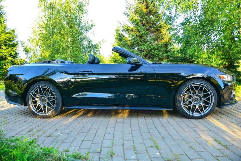 Ford Mustang (black)