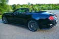 Ford Mustang (black)
