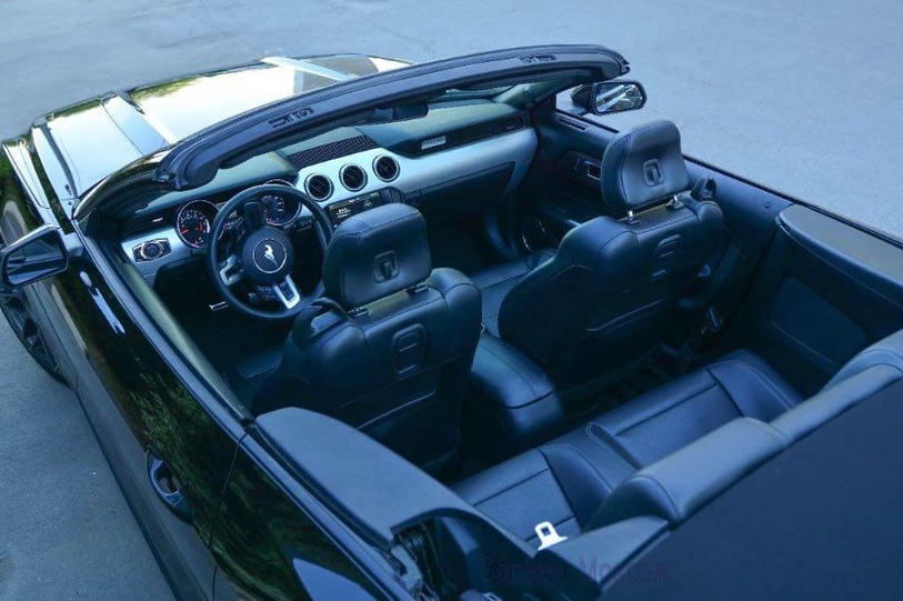 Ford Mustang (black)