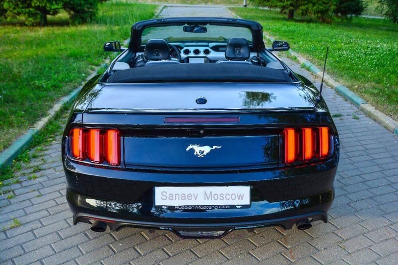 Ford Mustang (black)