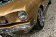 Ford Mustang (Gold)
