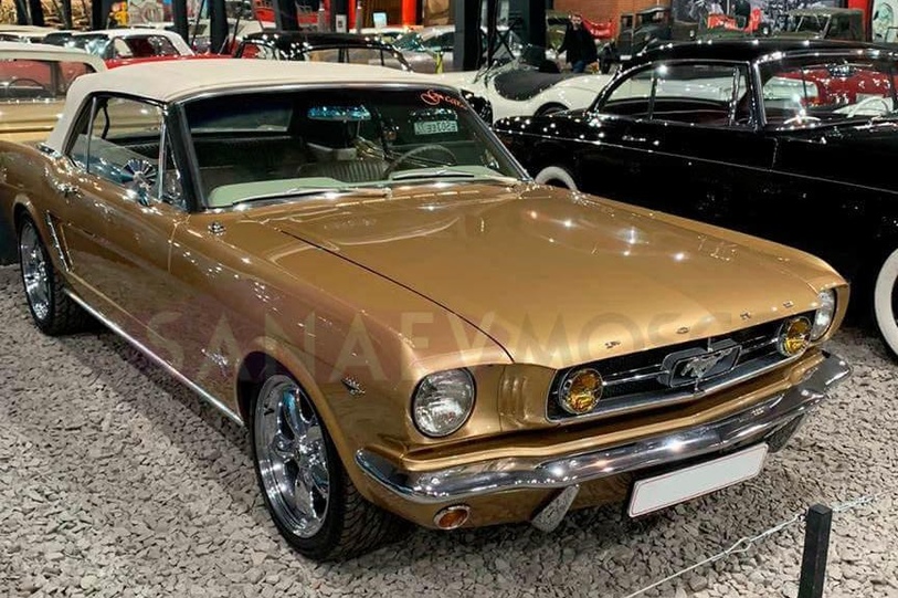 Ford Mustang (Gold)