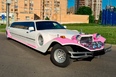 Excalibur Phantom (pink)