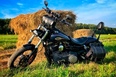Harley-Davidson Street Bob