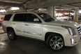 Cadillac Escalade (white)